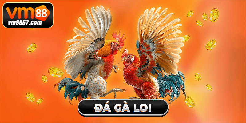Trải Nghiệm Cá Cược Đá Gà Loi Săn Thưởng Khủng Cùng Vm88