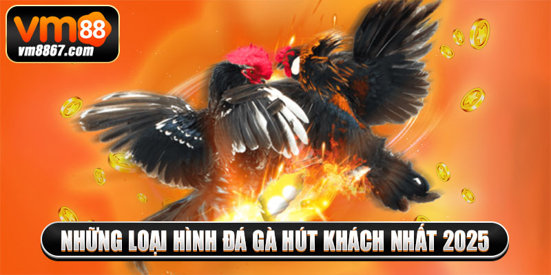 Những loại hình đá gà hút khách nhất 2025